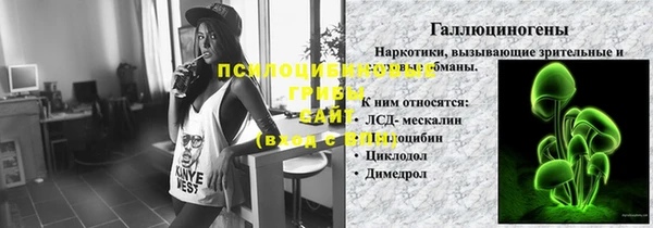 стаф Нефтегорск