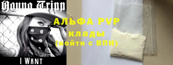 стаф Нефтегорск