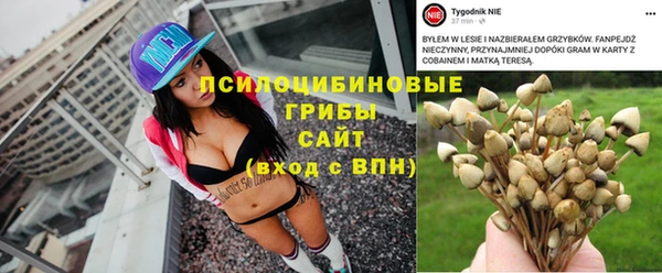 а пвп мука Новозыбков