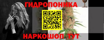 спиды Бийск