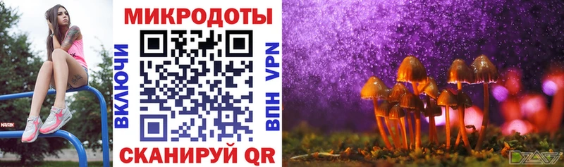 Галлюциногенные грибы прущие грибы  купить закладку  Заводоуковск 