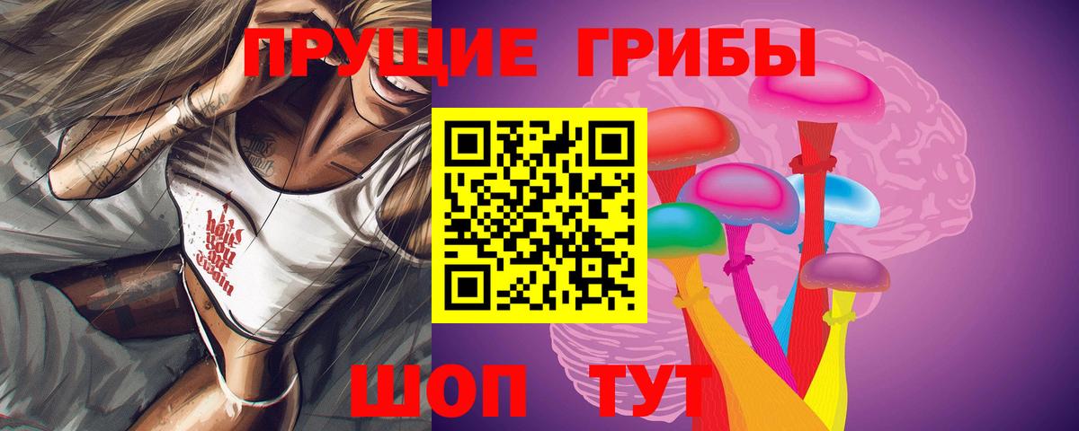 Заводоуковск  Галлюциногенные грибы Magic Shrooms  Вход с VPN 