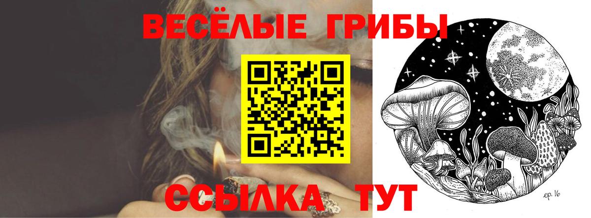 Галлюциногенные грибы Magic Shrooms Заводоуковск