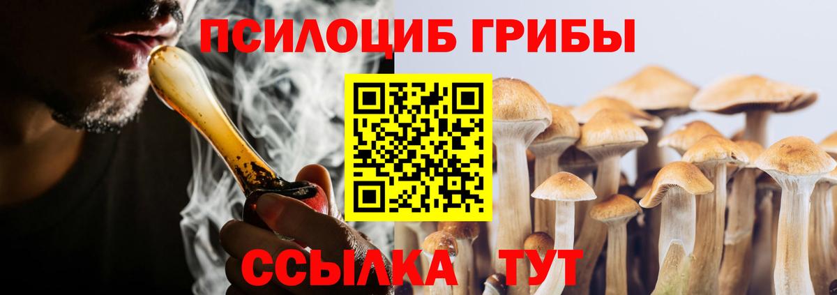 Галлюциногенные грибы ЛСД  Заводоуковск 